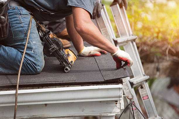 Best Roof Gutter Cleaning  in Bradford, OH